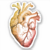 ハートシールを貼る シール (正面)