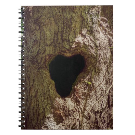 ハートツリー ノートブック (正面)