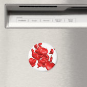 ハートハート磁石 マグネット (インサイチュ (食洗機))