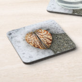 ハートビーチ コースター (左側)