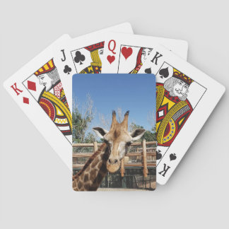 ハートブ遊レーカー トランプ