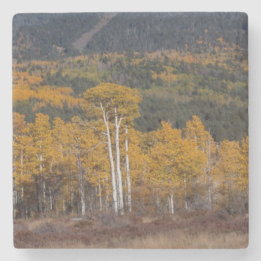 ハートプレーリー ストーンコースター (正面)