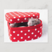 ハートボックスの中の3匹のネズミ ポストカード (正面)