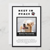 ハートポープリントレストインピースペットロス写真 案内状 (正面)