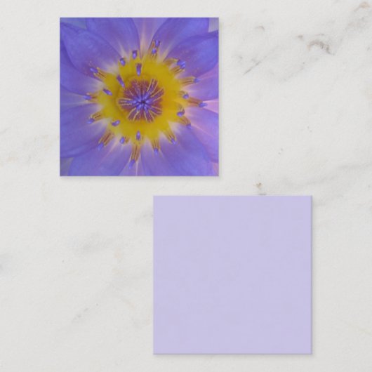 ハートマクロ《植物》スイレン撮影 スクエア名刺 (正面/裏面)