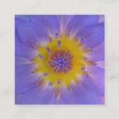 ハートマクロ《植物》スイレン撮影 スクエア名刺 (正面)