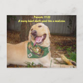 ハートメリーは薬のように効能がある。 ポストカード (正面)