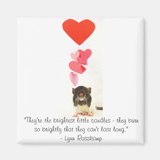 ハートラット マグネット (正面)