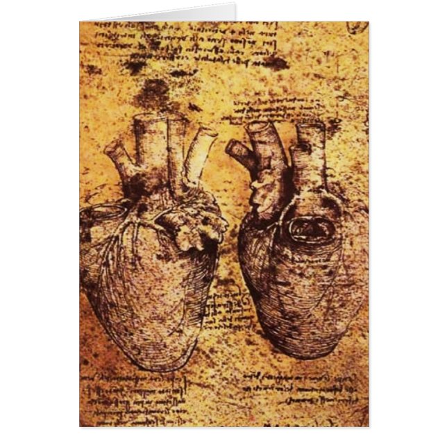 ハート及びその血管パーチメント (正面)