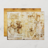 ハート及びその血管パーチメント ポストカード (正面/裏面)