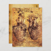 ハート及びその血管パーチメント ポストカード (正面/裏面)
