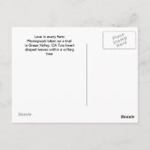 ハート型の葉 ポストカード (裏面)