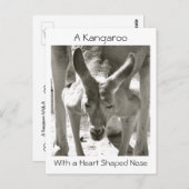 ハート型の鼻を持つカンガルー ポストカード (正面/裏面)