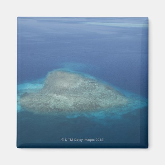 ハート型サンゴ礁 マグネット (正面)