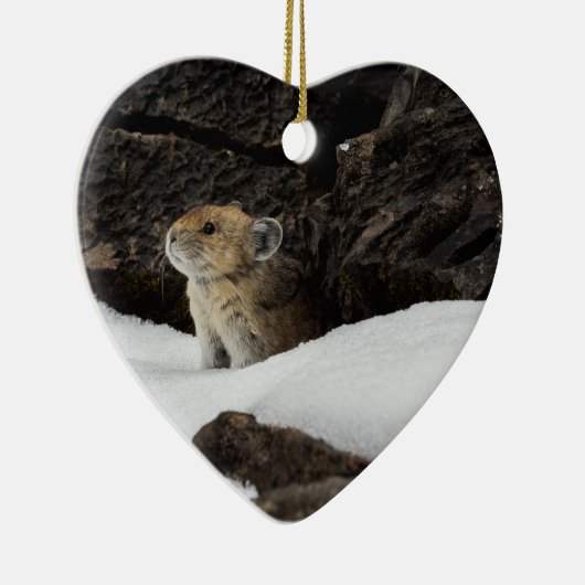 ハート型セラミを使った雪の中のアメリカのピカ セラミックオーナメント (右)