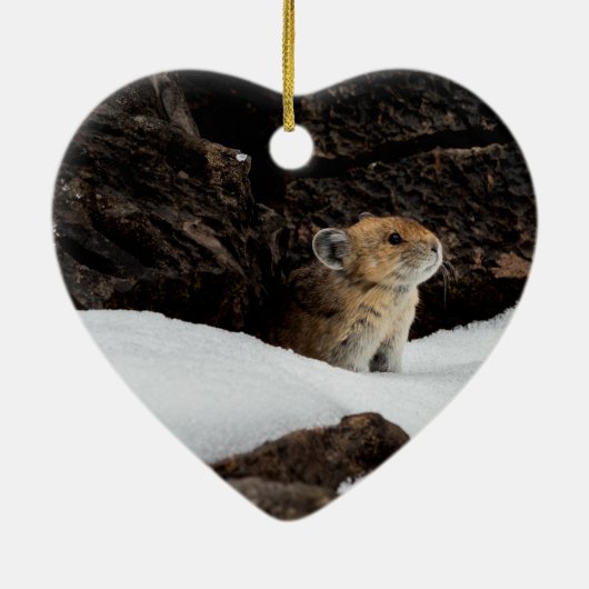 ハート型セラミを使った雪の中のアメリカのピカ セラミックオーナメント (裏面)