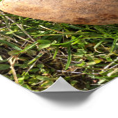 ハート型ポテト ポスター (角)