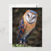 ハート型顔バーンドウル ポストカード (正面/裏面)