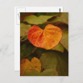 ハート形の紅葉はがき ポストカード (正面/裏面)