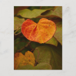 ハート形の紅葉はがき ポストカード