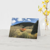 ハート形の《植物》アスペンが付いているバレンタインカード カード (黄色い花)