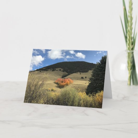 ハート形の《植物》アスペンが付いているバレンタインカード カード (正面)