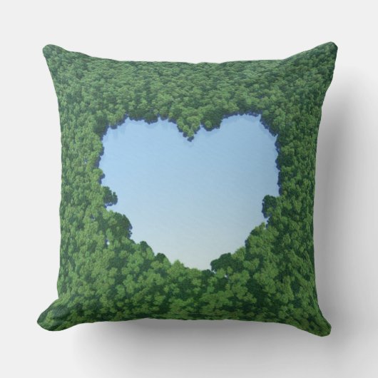 ハート形湖 クッション (正面)
