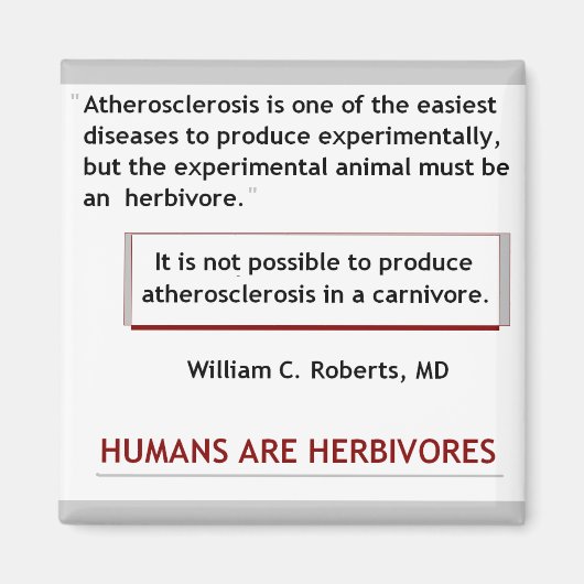 ハート攻撃用磁石 マグネット (正面)