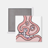 ハート神経伝達物質 マグネット (正面/裏面)