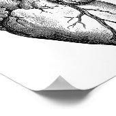 ハート解剖学 ポスター (角)