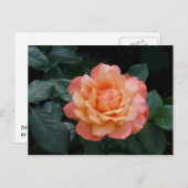 ハート金ゴールド ポストカード (正面/裏面)