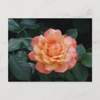 ハート金ゴールド ポストカード