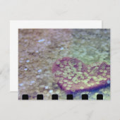 ハート (正面/裏面)