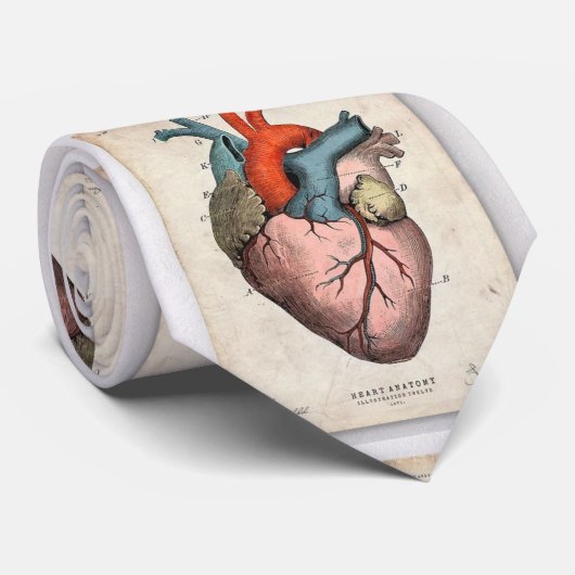 ハート ネクタイ (ロール)