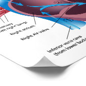 ハート・ポスターを通る血流 ポスター (角)