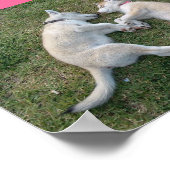 ハート ポスター (角)