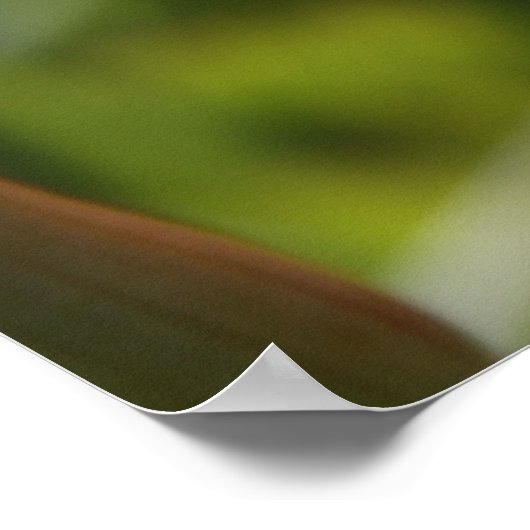 ハート ポスター (角)