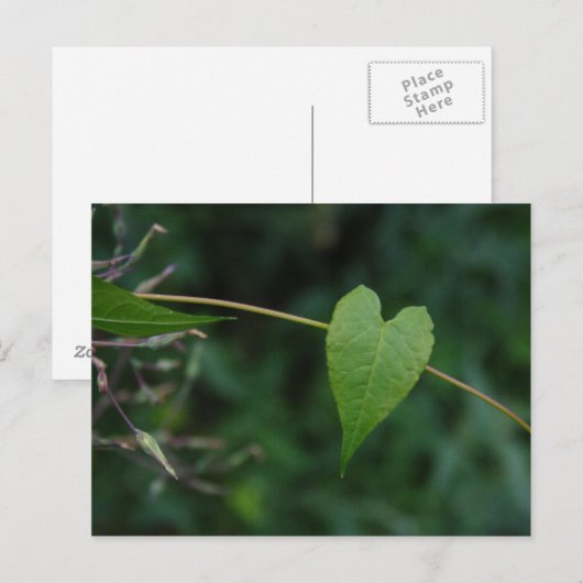 ハート ポストカード (正面/裏面)