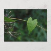 ハート ポストカード (正面)