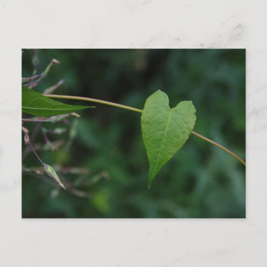 ハート ポストカード (正面)