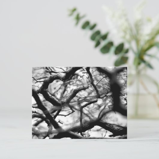 ハート ポストカード (スタンド正面)