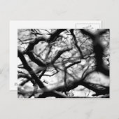 ハート ポストカード (正面/裏面)