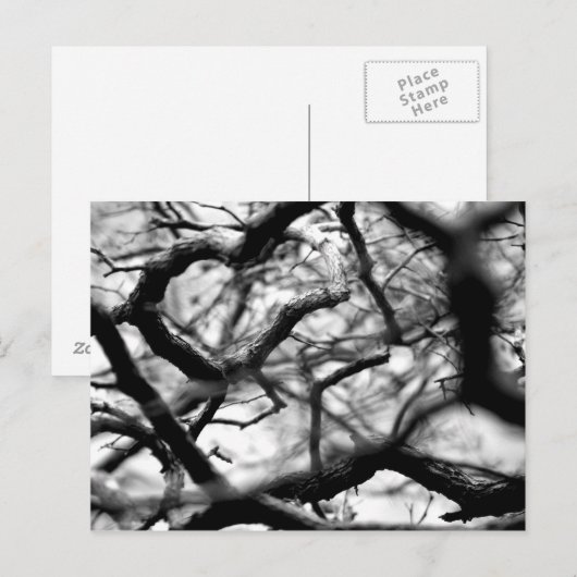 ハート ポストカード (正面/裏面)