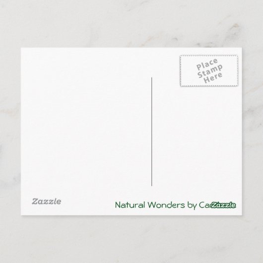 ハート ポストカード (裏面)