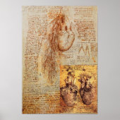 ハート、気管支動脈とその血管 ポスター (正面)