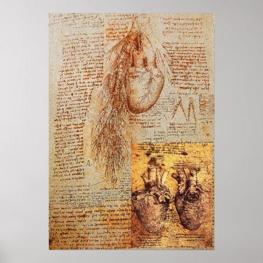 ハート、気管支動脈とその血管 ポスター (正面)