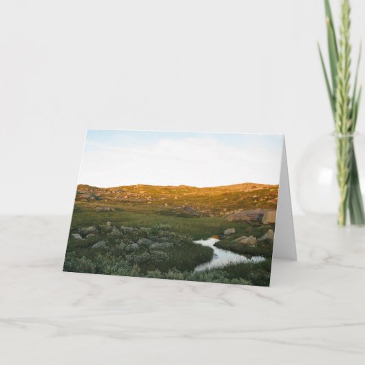 ハードアンゲルヴィダノルウェーカード カード (正面)