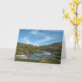 ハードアンゲルヴィダノルウェー カード (黄色い花)