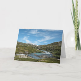 ハードアンゲルヴィダノルウェー カード