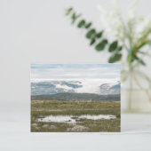 ハードアンゲルヴィダノルウェー ポストカード (スタンド正面)